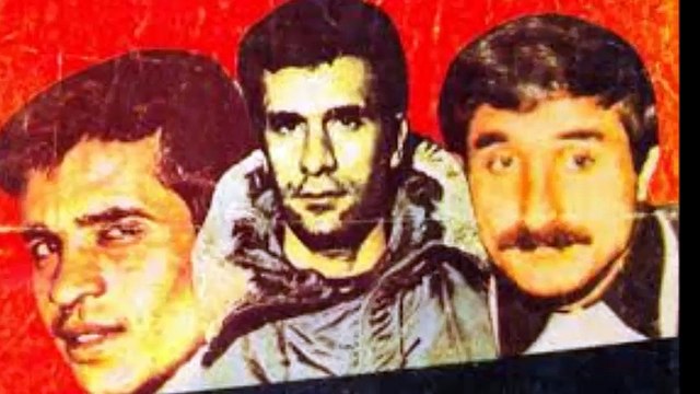 GRUP YOL DENİZİM OL