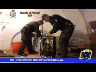 Bari |  Studenti fuorisede coltivavano marijuana