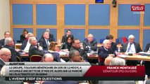 Audition de Jean-Bernard Lévy, Président-directeur général d'EDF - Les matins du Sénat