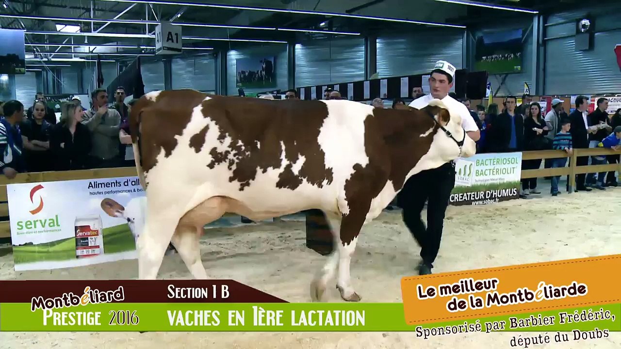 Montbéliard Prestige Streaming Live (5)