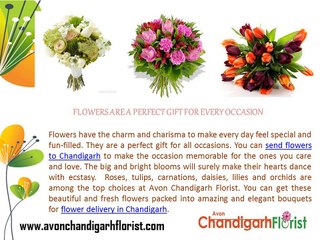 Best Gift Ideas to Surprise your Loved Ones in Chandigarh