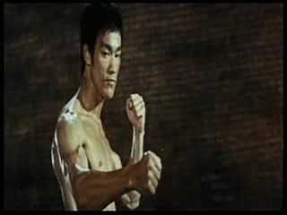 Bruce Lee ( KEN le survivant )