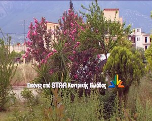 Απαγορεύουν σε εθελοντές να φροντίζουν πλατεία της Λαμίας