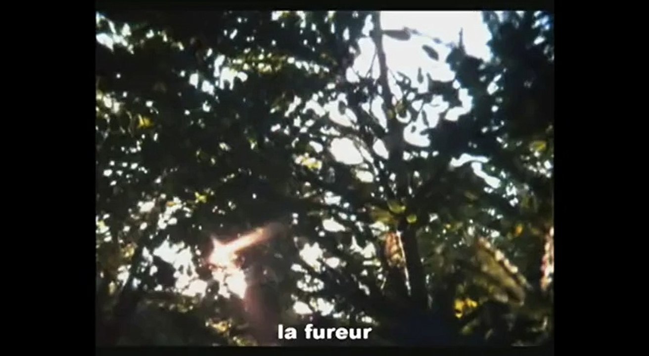 Performance ( 1970 - bande annonce VOST )