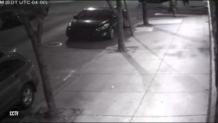 Woman forced to fight off sex attacker as he tries to grab her off street