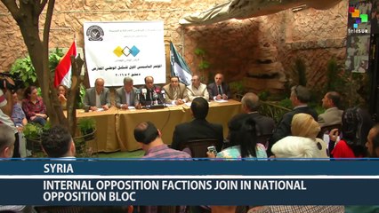 Syria: Internal Opposition Factions Join In National Democratic Bloc
