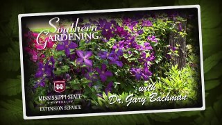 Delphinium, Southern Gardening TV, April 25, 2012