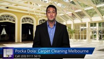 Pocka Dola: Carpet Cleaning Melbourne Frankston IncredibleFive Star Review by Julie B.