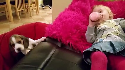 Cerca Di Raggiungere La Bimba Sul Divano: Quando Ci Riuscirà Vi Farà Sciogliere Il Cuore