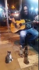 Inizia A Suonare Un Pezzo Con La Sua Chitarra, Ma Guardate Chi Arriva Ad Ascoltarlo. Wow!