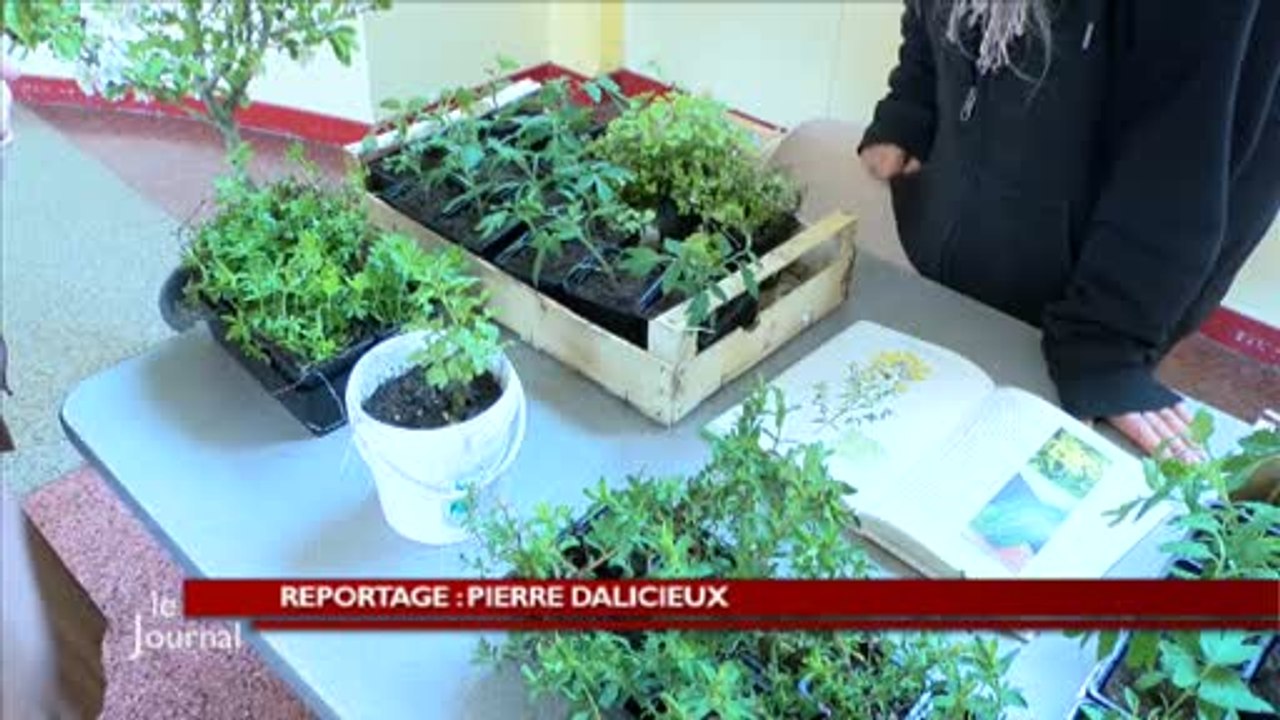 Environnement : La journée "Graines du coin" (Vendée)