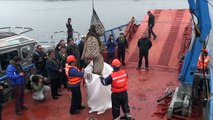 Chile alerta ante mortandad de fauna marina por marea roja