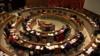 Conseil municipal de Strasbourg du 25.04.2016 - Intervention de Laurence VATON