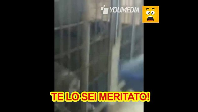 Tira I Calci Al Cane, Ma Lui Poi Si Vendica; Ecco il Video Che Ha Fatto il Giro del Web!