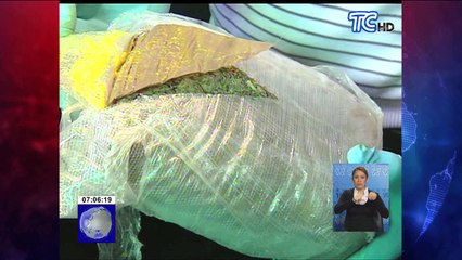 Decomisan 35 kilos de marihuana tipo “creepy”