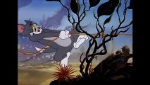 Tom and Jerry, 43 Episode - The Cat and the Mermouse (1949)(1)