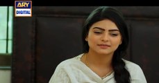 Dil-e-Barbad Episode 246 on Ary Digital in High Quality 5th May 2016