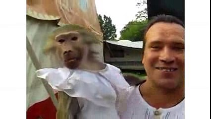 10 of the MOST VIRAL FUNNY VIDEOS 2016, WhatsApp - Funny Pranks - Funny Videos 2016