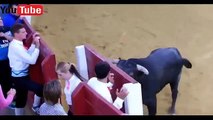 funny videos 2016   funny bullfighting festival in Spain