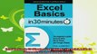 new book  Excel Basics In 30 Minutes 2nd Edition The quick guide to Microsoft Excel and Google