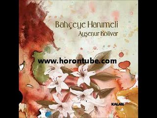 Aysenur Kolivar  Mavili Esarbumi