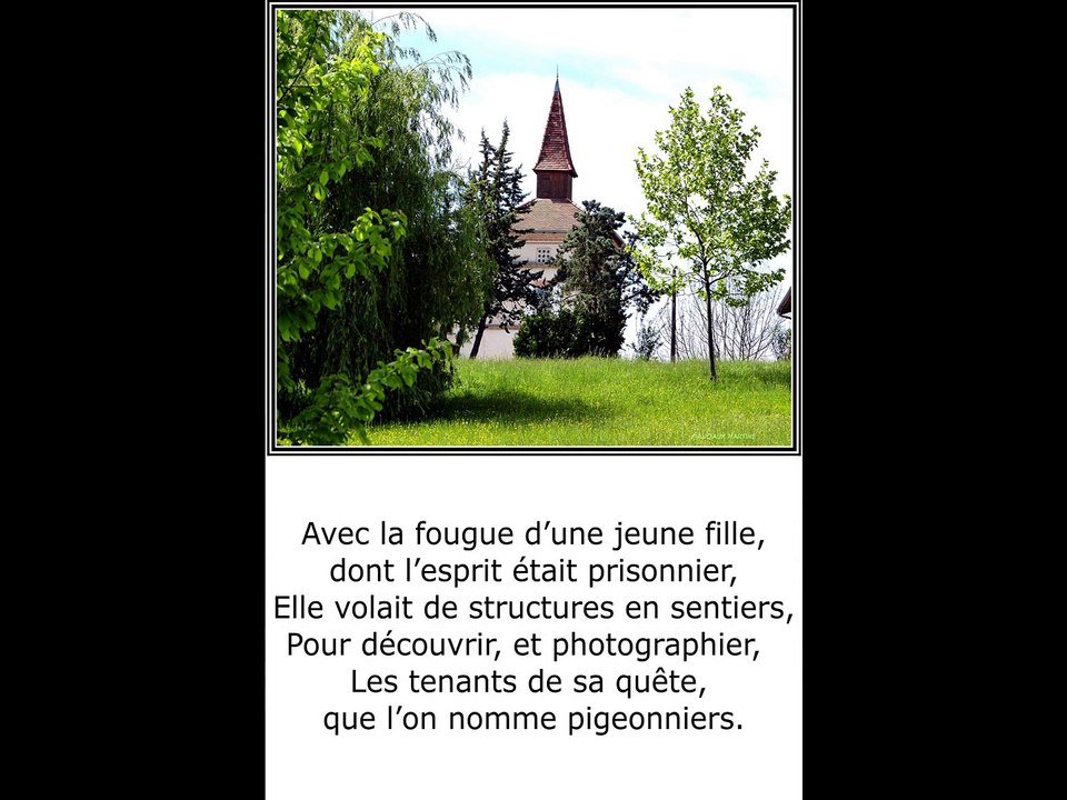 ©PIGEONNIERS POEME THOMAS ANDRE©  Je vous avais déjà vus, Je ne m’en étais pas plus passionné, Jusqu’à ma rencontre, avec une mordue, Une artiste photographe, créatrice de la photo-peinture, alors là oui, une passionnée.  Et de me décrire, bien avant de l