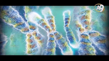 Mikro Dünyada Sanat: Yakamoz