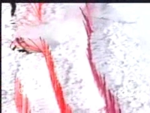 Caduta Hermann Maier a nagano