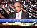 Biggest Abusive Fight Between PMLN’s Mushahid Ullah Khan and Hassan Nisar