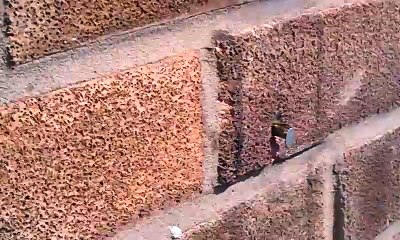 Bionic bee pulls nail out of a wall