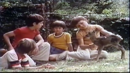 Jelenko - Ko je video lovokradice - E02