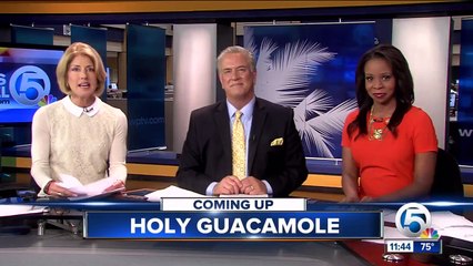 Two turtles released in Juno Beach