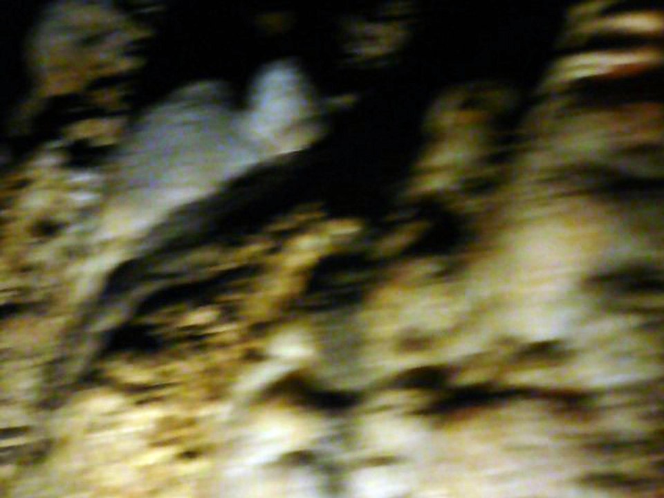 BARBADOS 037 P1080525