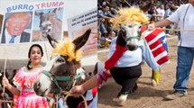 Donkey dressed up as Donald Trump in Mexican Donkey Festival