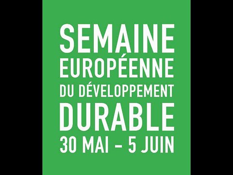 Eco-Délégués - Lycée Camille Saint Saëns - Deuil-la-Barre