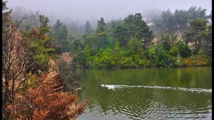 ΤΟ ΚΑΛΟΚΑΙΡΙ ΕΚΕΙΝΟ & ΓΙΑΝΝΗΣ ΠΕΤΡΟΠΟΥΛΟΣ