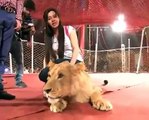 See What Capital Tv Host Rabi Pirzada Doing With Lion