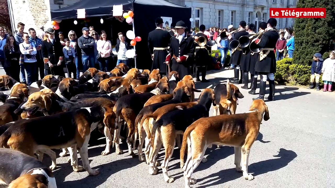 Lycée Pommerit. Une Ascension à sensations !