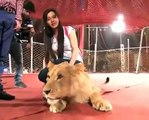 What is Capital TV Host Rabi Pirzada Doing With Lion?