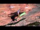 EX Sports  Rock Climbing - Clip 2
