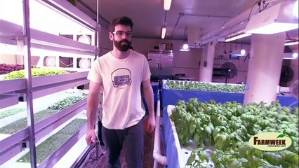 Greens and Gills Indoor aquaponics farming