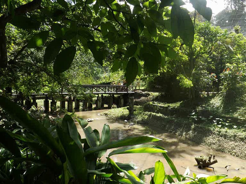 Bird Park