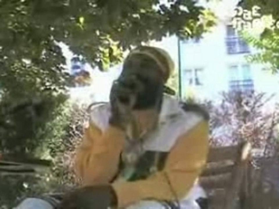 Mix Reggae Capleton Jamaique