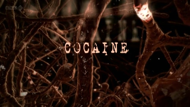 BBC Как действуют Наркотики: Кокаин (Экгонилбензоат)