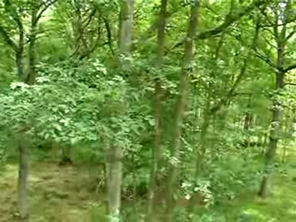 ONF Odyssée Verte Rambouillet