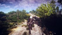 The Witcher 3: Wild Hunt [PC Modded] Graphics Showcase