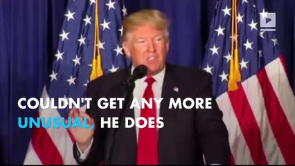 Cinco de Trumpo: The Donald says he 'loves Hispanics'