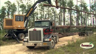 Small Mississippi logging crew earns big respect. Farmweek, March 28, 2014