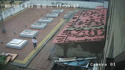 Tibetan mastiff attacking caught on tape