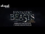 Animales Fantásticos y Dónde Encontrarlos  - Trailer Subtitulado